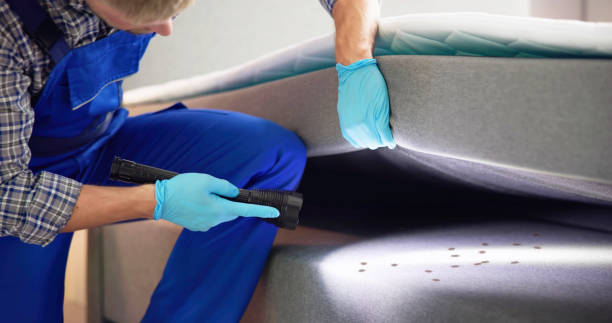 Pest Control for Restaurants in Prince Frederick, MD
